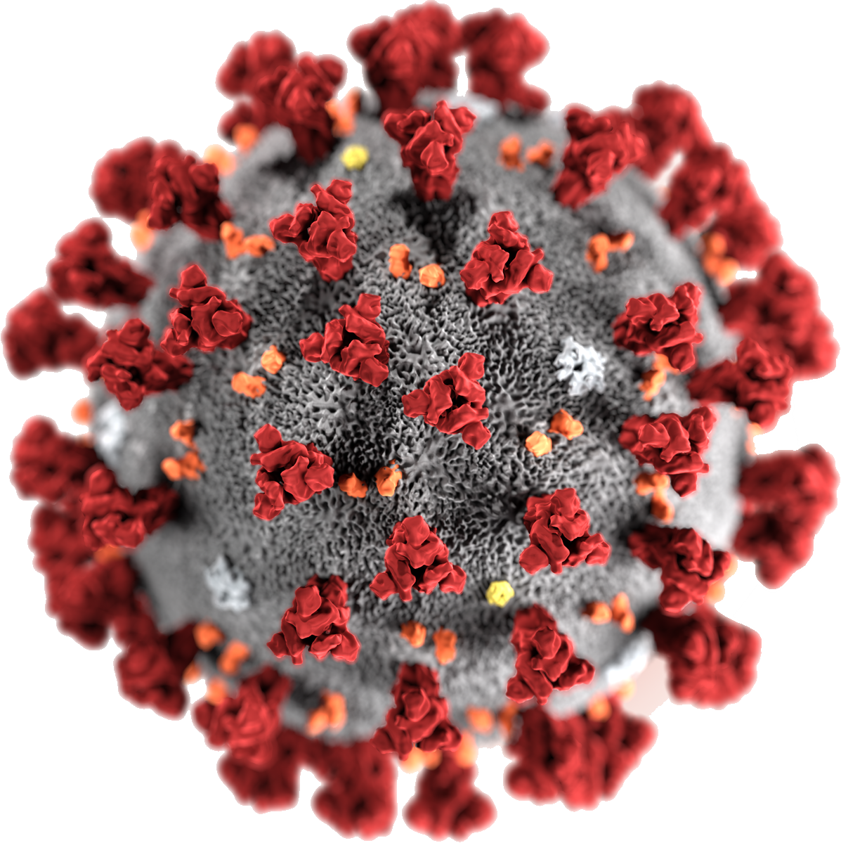 coronavirus_PNG46